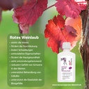 RIVIERA MED+ Venen Lotion  250 ml