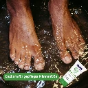 ENZBORN Schöne Füsse 75ml 62027 Männerfüsse.webp