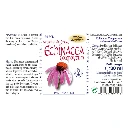 Espara AE_Echinacea_BACK.webp
