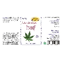 Espara AE_Hanf_BACK.webp