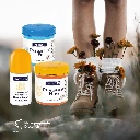 ENZBORN Teufelssalben beim Wandern.webp