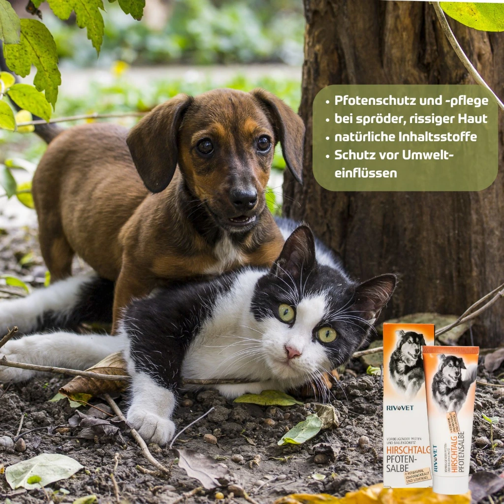 Rivvet Hirschtalg Pfotensalbe Hund Katze outdoor 1500x1500px.webp