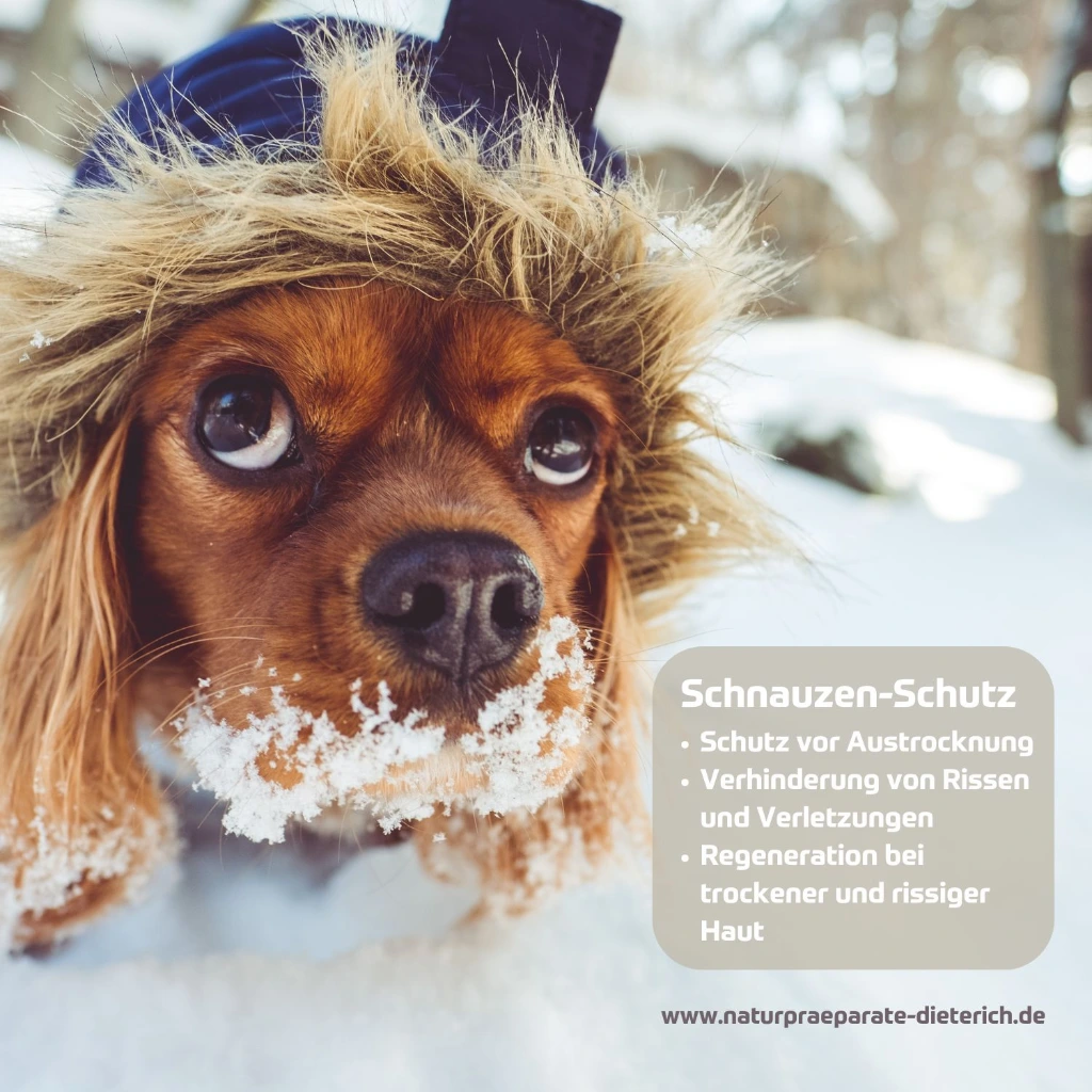 Rivvet Hirschtalg Pfotensalbe  Schnauze Nase 1500x1500px.webp
